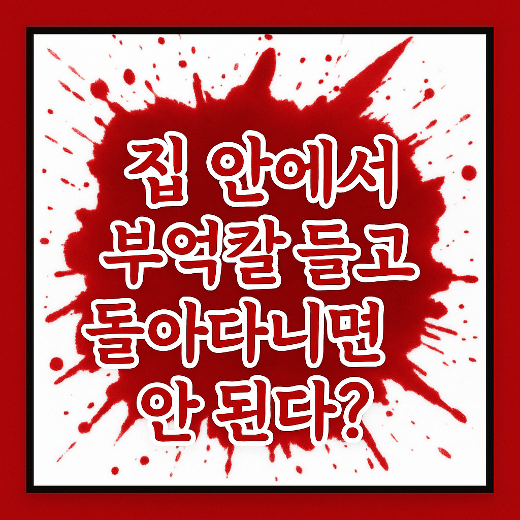 집 안에서 부엌칼 들고 돌아다니면 안 된다?-썸네일