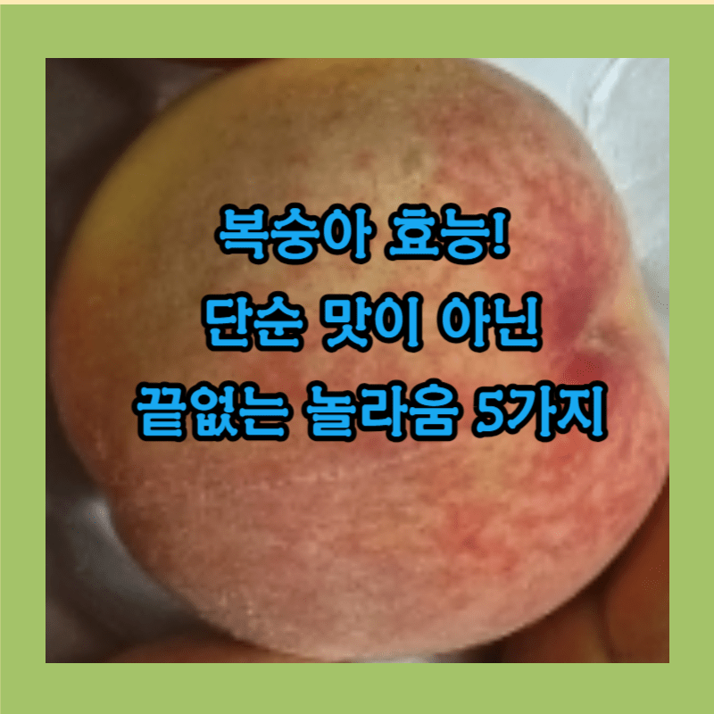 복숭아 효능 썸네일