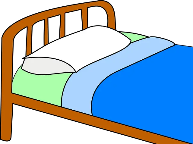 설 연휴 기간 응급의료기관