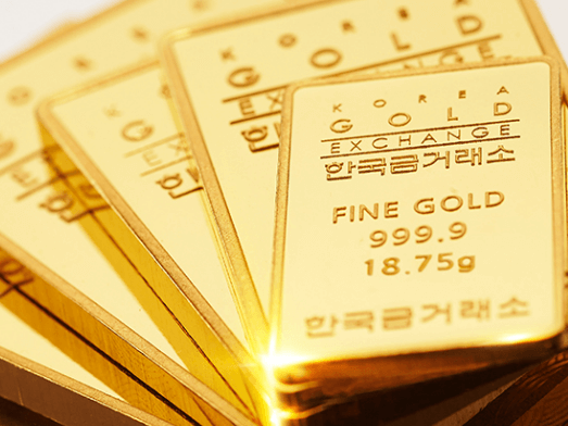 함평군 황금박쥐상