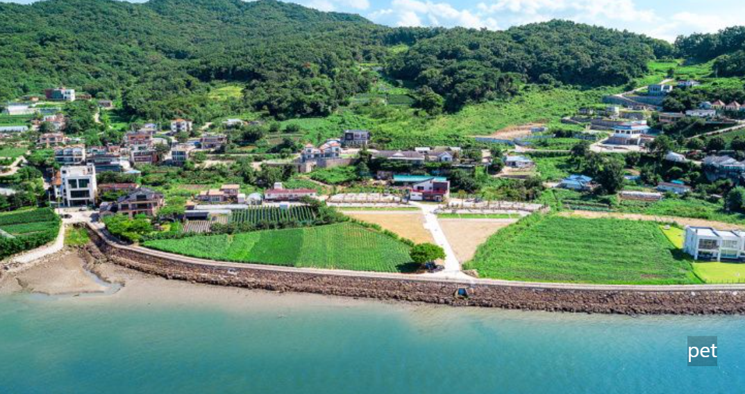 경기-인천-바다다캠핑장-예약-방법-애견-동반-가격-주소-시간-후기