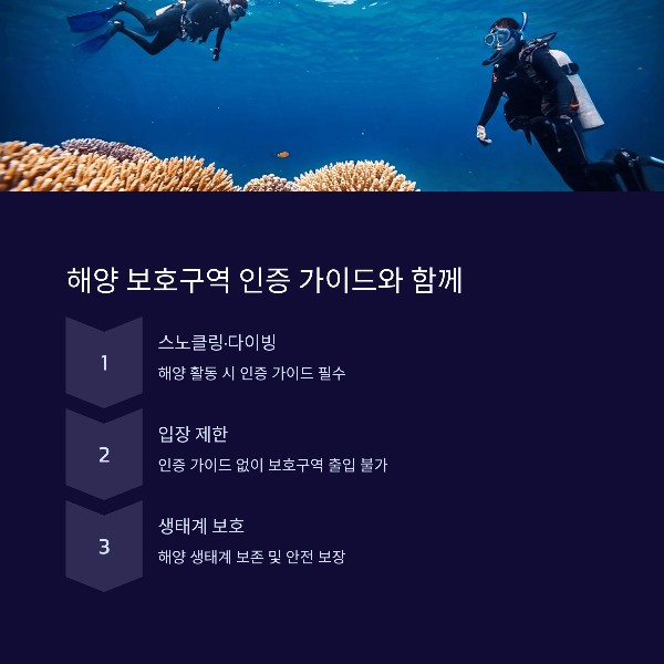 해양 액티비티, 민간가이드 없이 불가