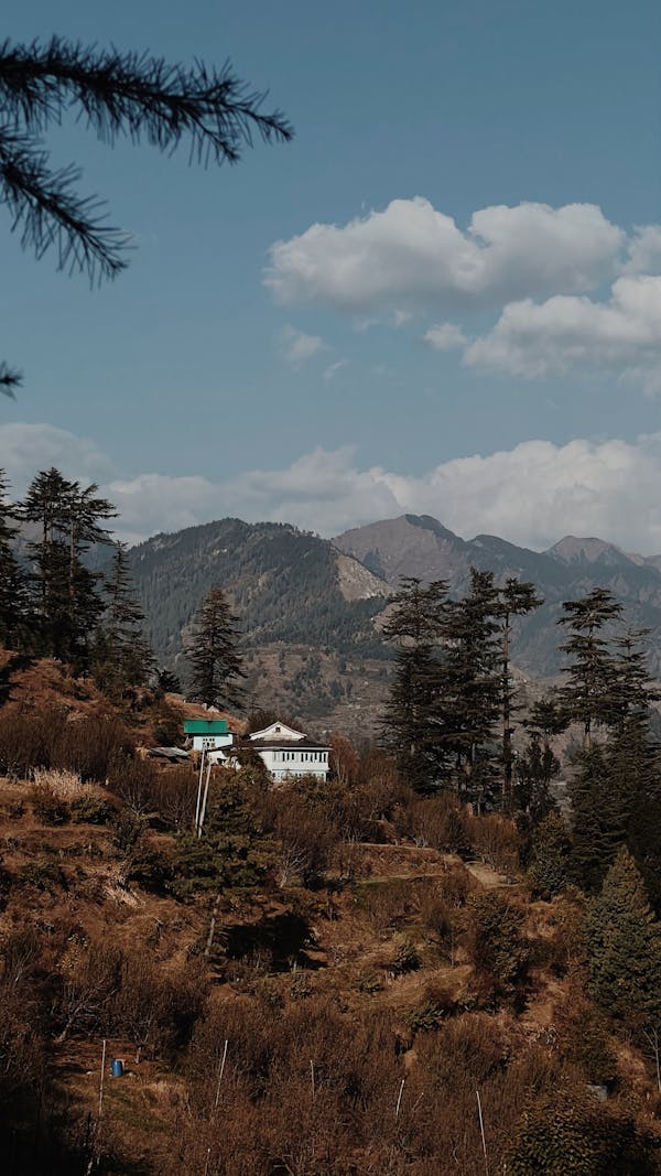 제로 웨이스트의 창의적인 실천 방법 : 제로 웨이스트 여행