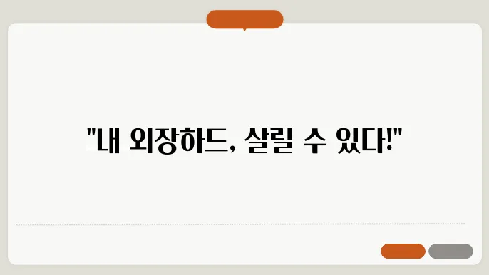 외장하드복구