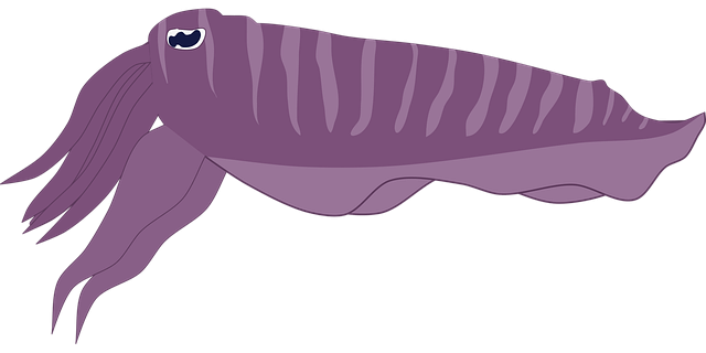 넷플릭스 가입방법 및 요금제 확인