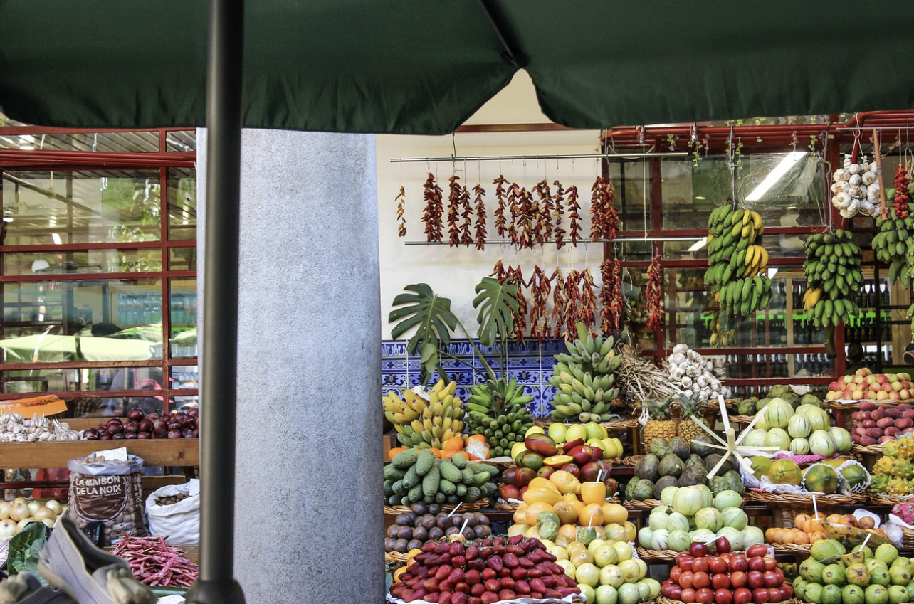 여행하며 비건으로 사는 법