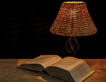 일론 머스크의 독서 습관과 인문학적 사고방식