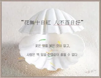 화무십일홍 뜻과 화무십일홍 권불십년 花無十日紅 자료집_25