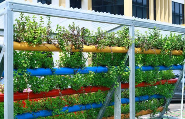 스마트시티와 도시 농업의 융합 가능성