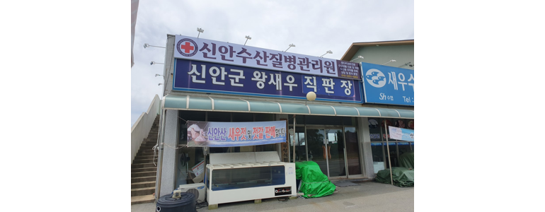 신안군 동물병원