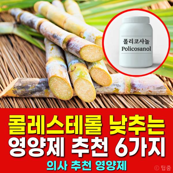 콜레스테롤 낮추는 영양제 추천 폴리코사놀