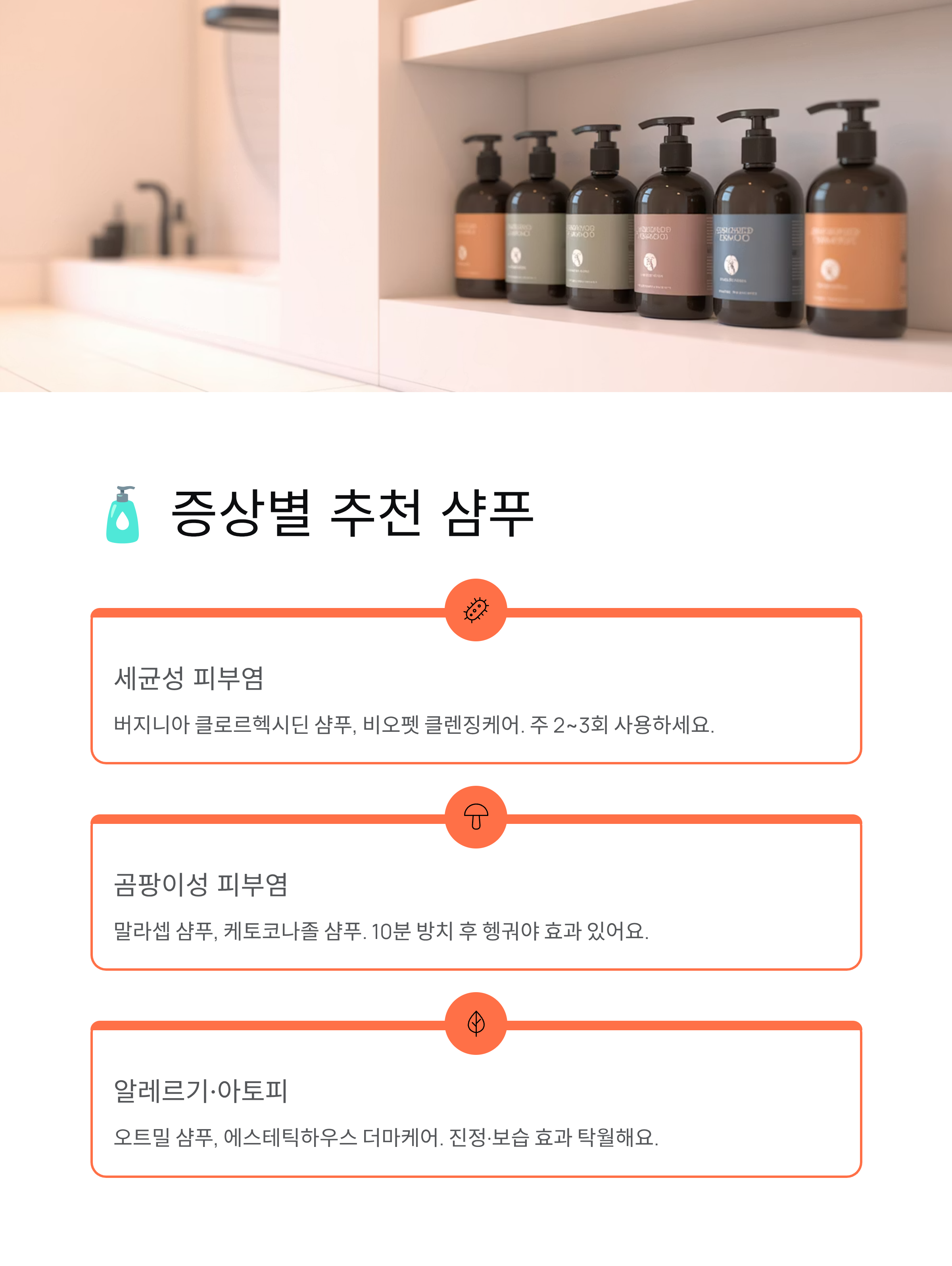 강아지 피부병 🐕 종류·증상·치료법·샴푸까지 완벽 정리!