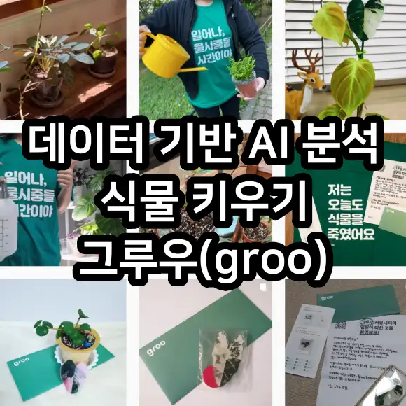 데이터 기반 AI 분석 식물 키우기 그루우 스타트업 소개
