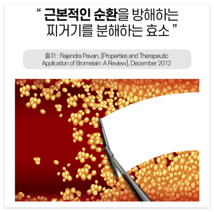 셀리트 브로멜라인이란