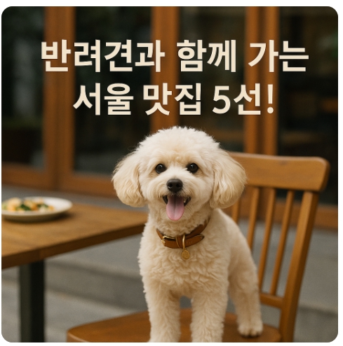 서울 반려동물 동반 식당 추천 5곳