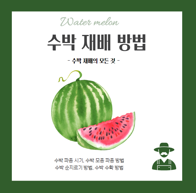수박재배방법