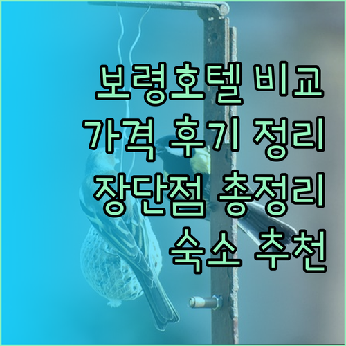 보령 호텔 3곳 가격 비교 후기 보령