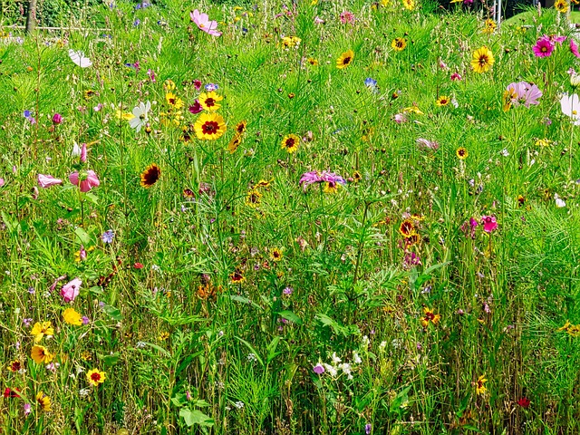 z01 파일 확장자 압축풀기 방법