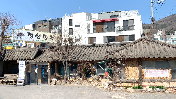 정선한우