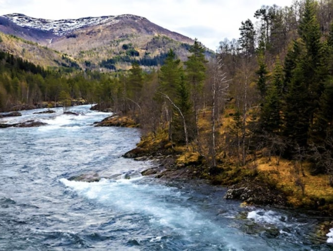 흐르는 강물처럼 영화 줄거리 책 일본 노래 명대사