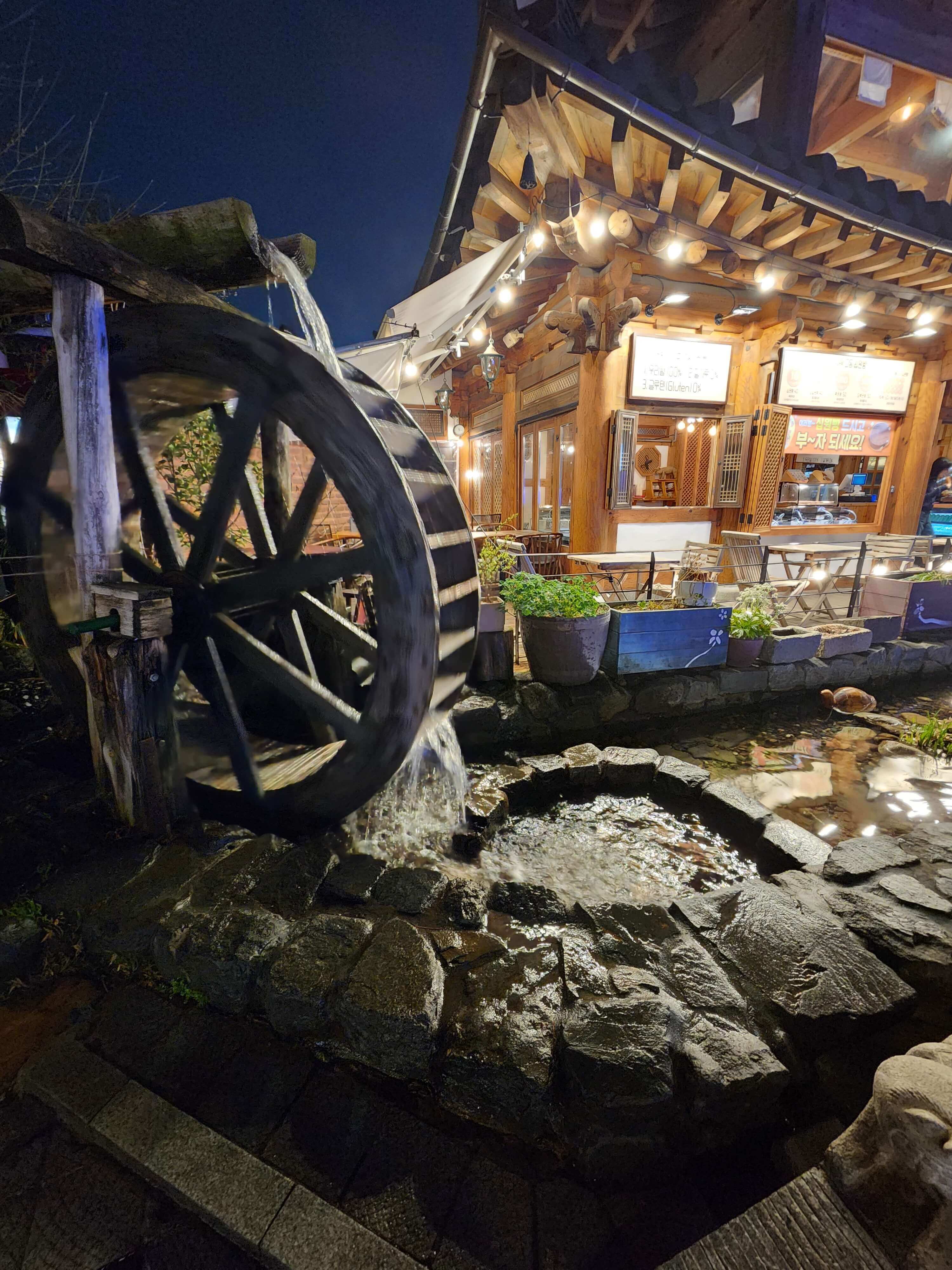 전주 애견동반 갈만한곳