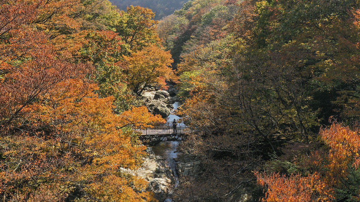 지리산 피아골
