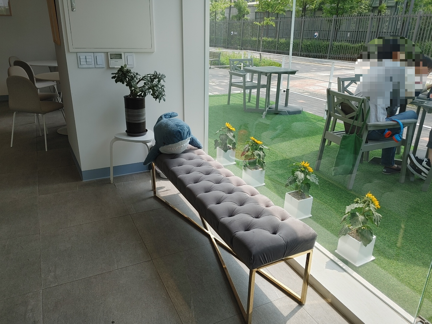 세종 카페 추천, 블루샥 세종나성점 실내