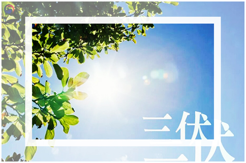 2020년도의 삼복인 초복, 중복, 말복의 날짜와 그 의미에 대해서 설명하는 이미지