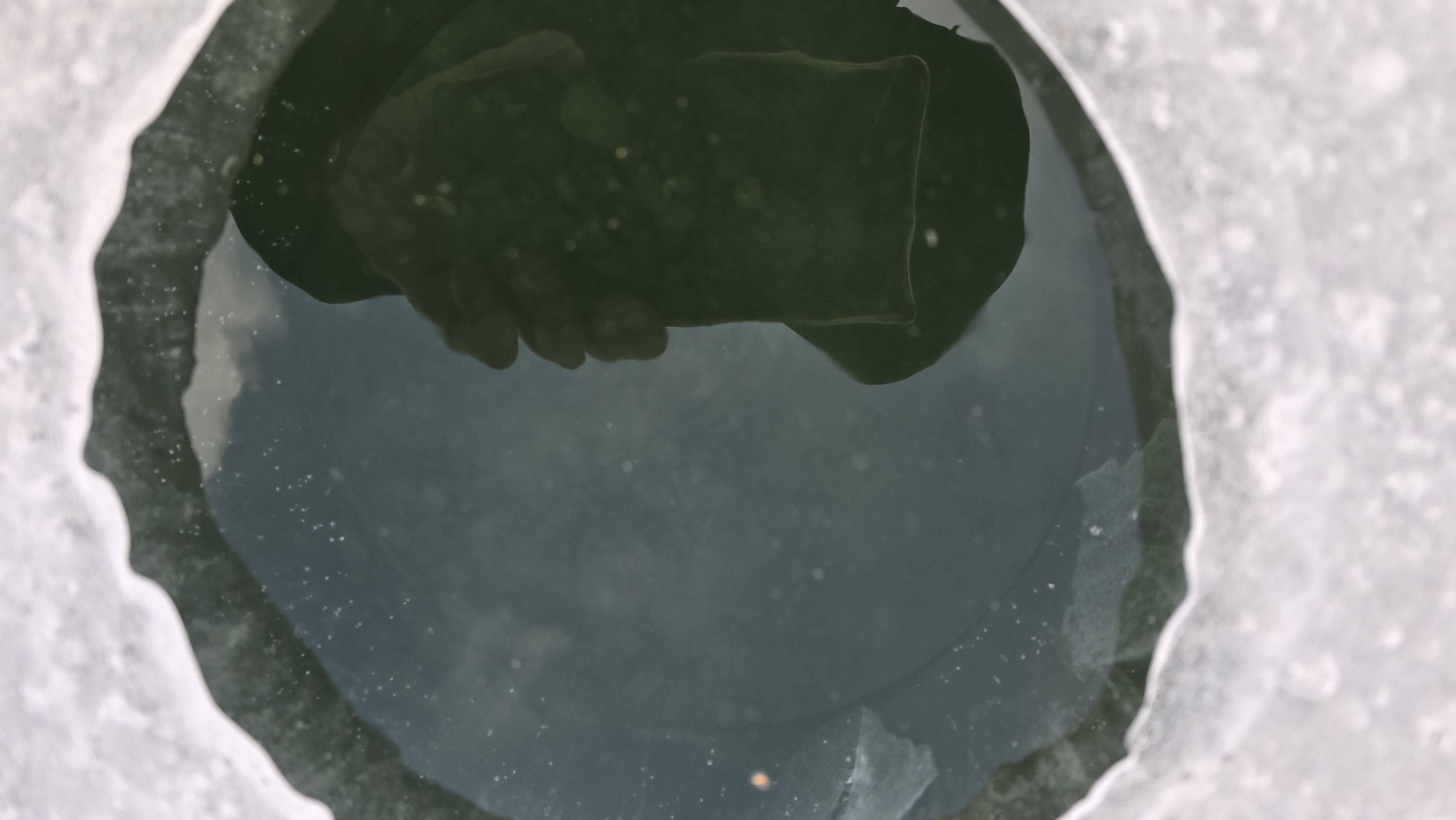 물속에 돌아다니는 산천어 사진