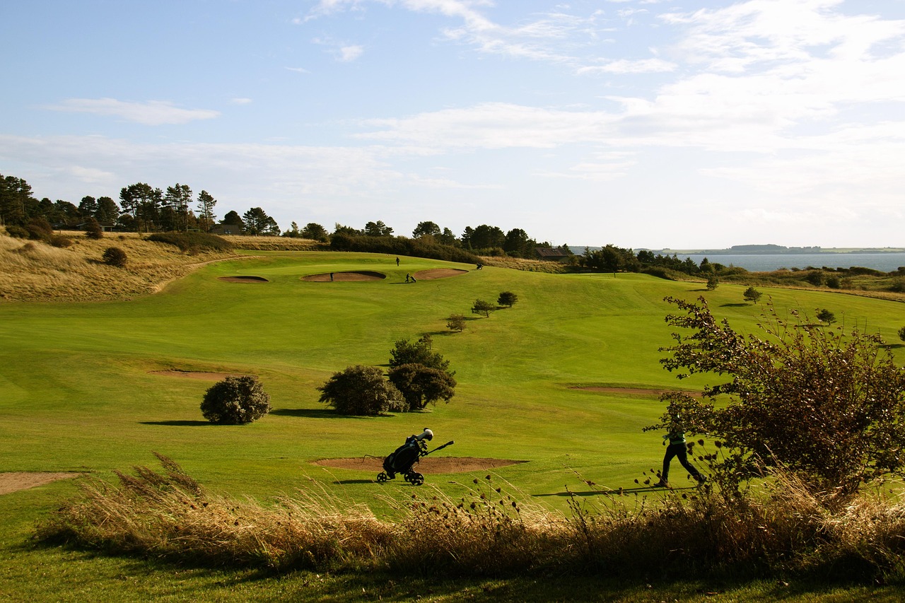 2026 배럭스 오픈 대회 방식 코스