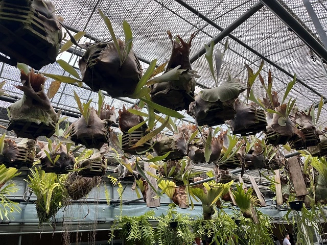 조인폴리아-쇼핑-센터