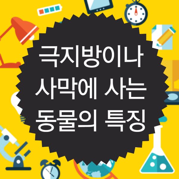 극지방이나 사막에 사는 동물의 특징