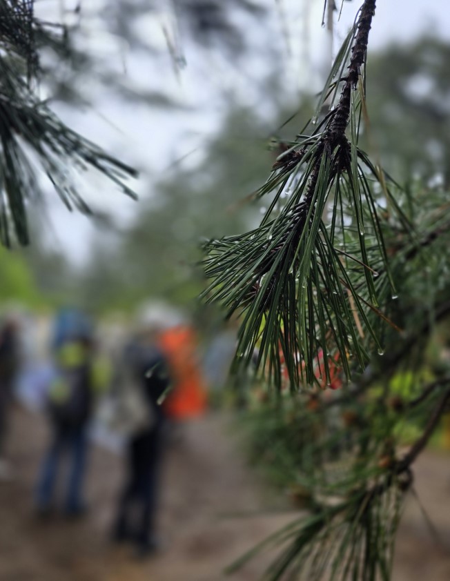 태안 서해랑길 완주 원정대 73코스