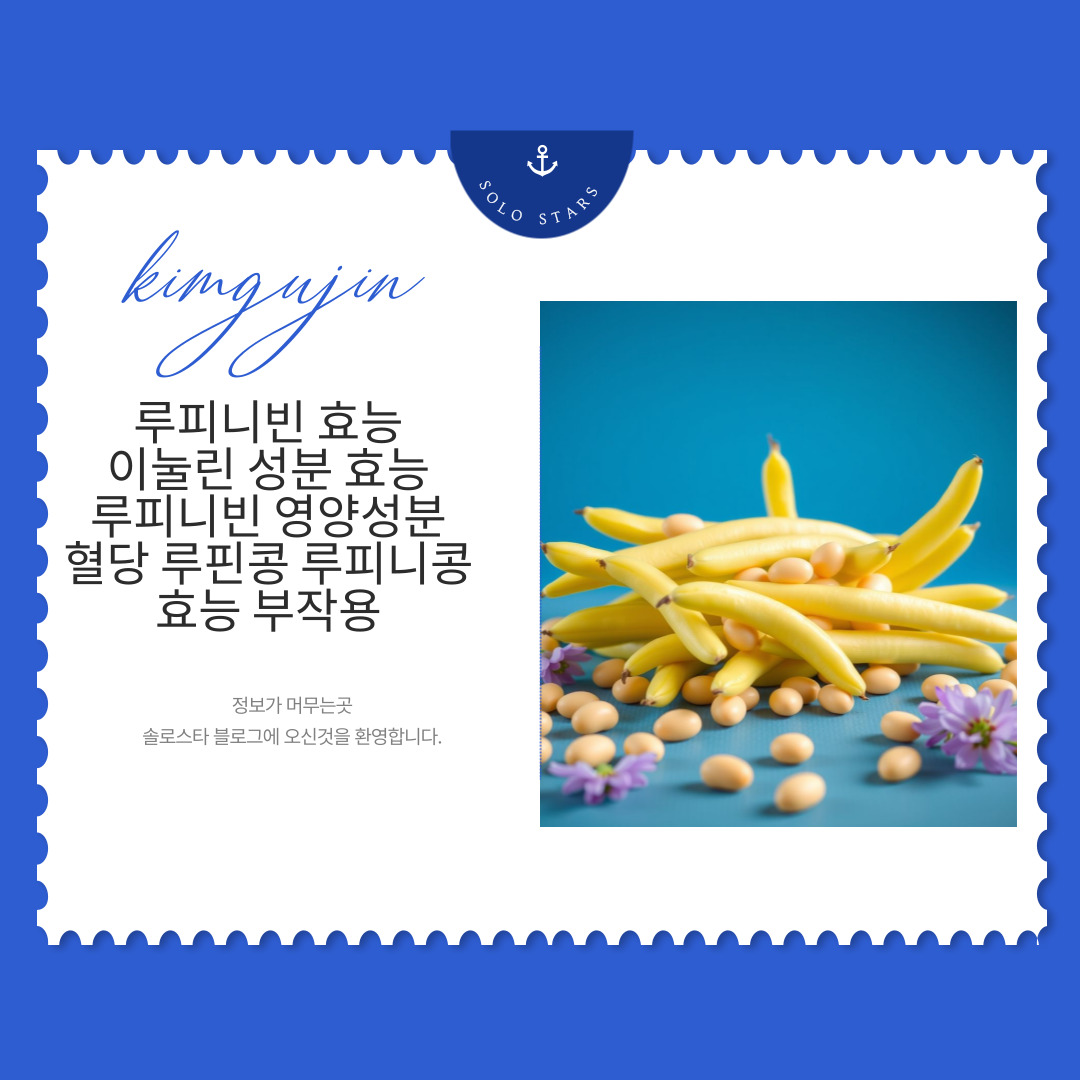루피니빈 사진