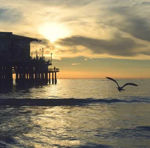 과태료와 범칙금