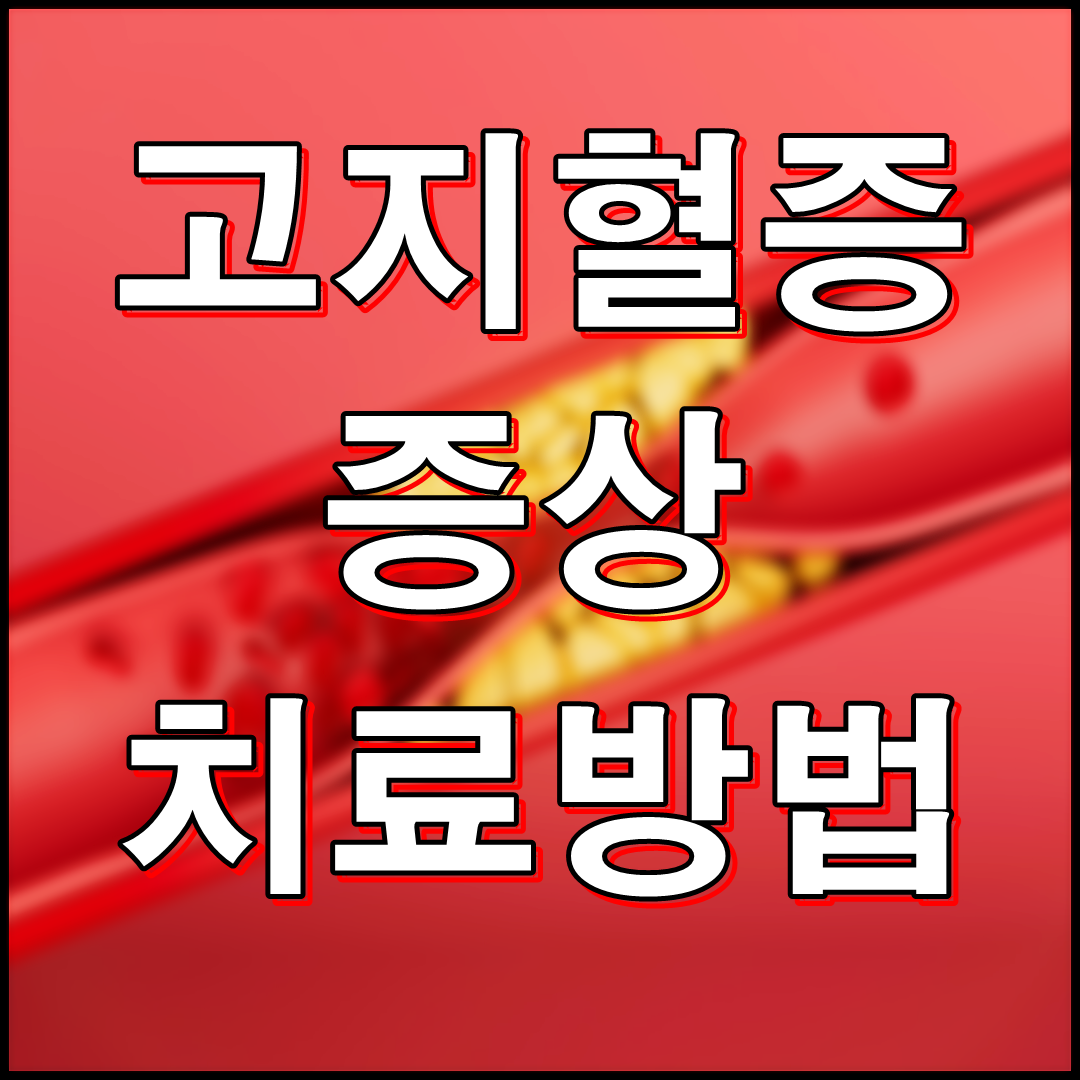 고지혈증