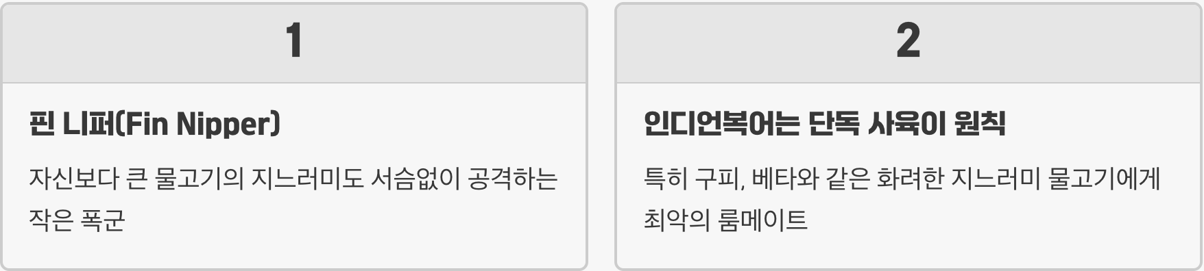 실수 2: '순한 구피'와 합사하는 비극