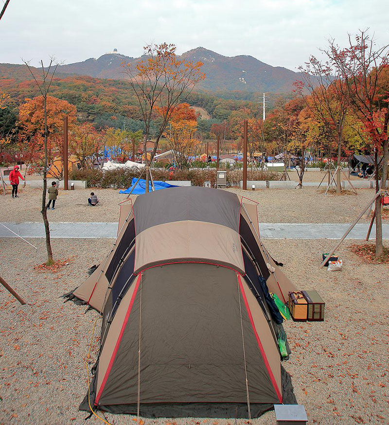 경기도 군포시 초막골생태공원 느티나무야영장 소개