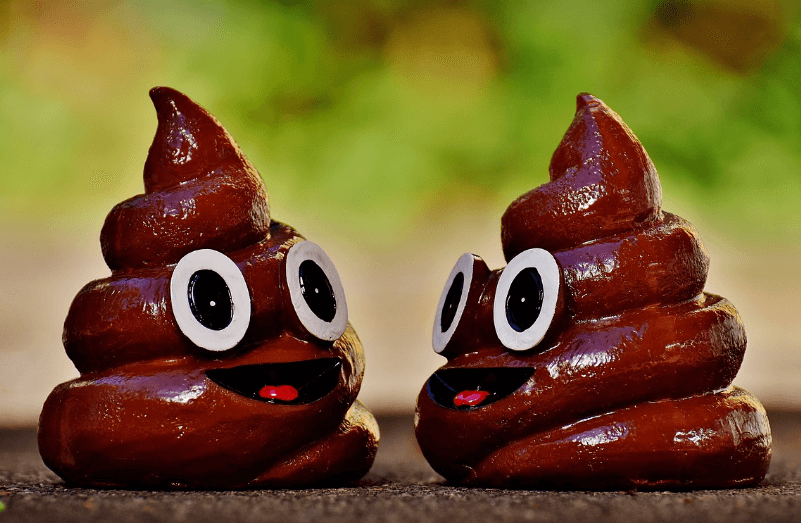 똥싸는 꿈 해몽