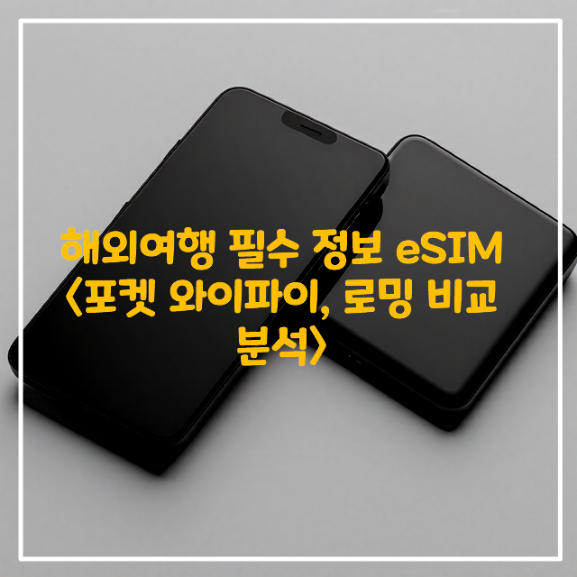 해외여행-필수-정보-eSIM-포켓-와이파이-로밍-비교-분석