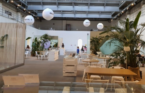 샤스타데이지 카페명소 BEST 5곳