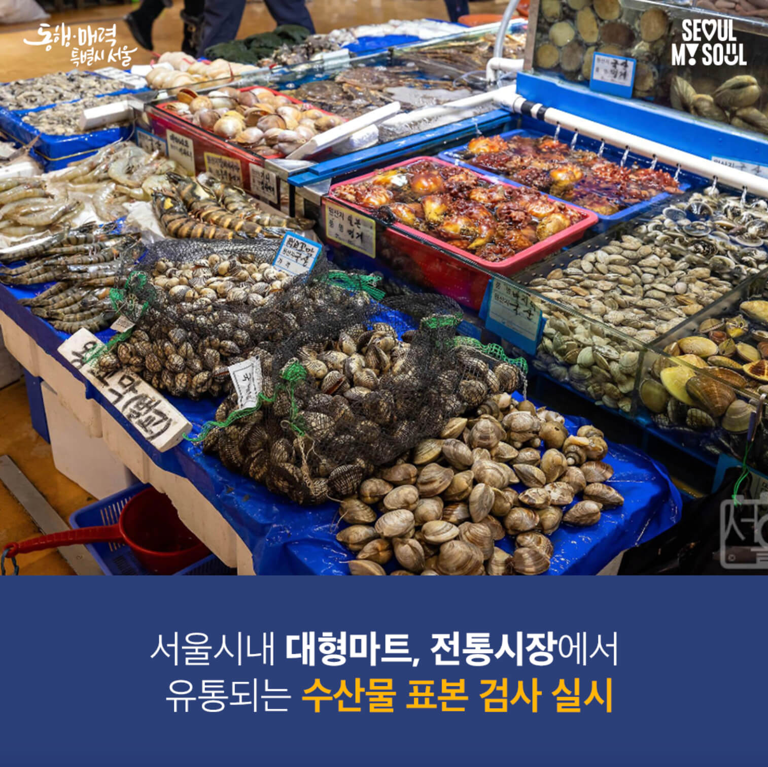 주요 도매시장 방사능 검사