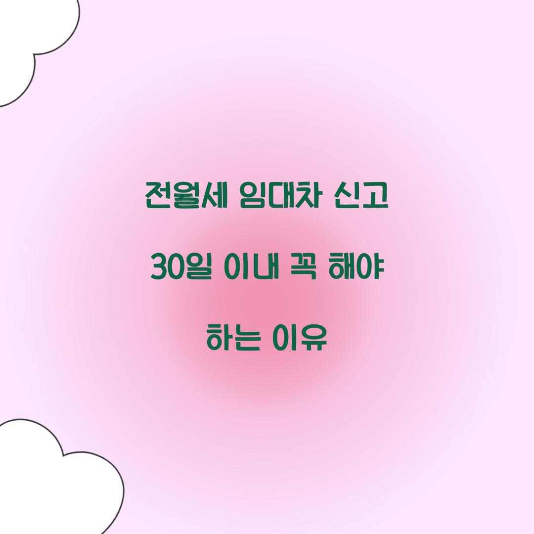 전월세 임대차 신고