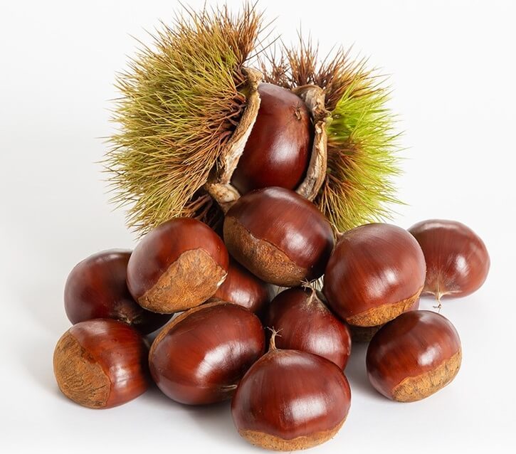 알밤, 자연에서 찾은 건강 비결