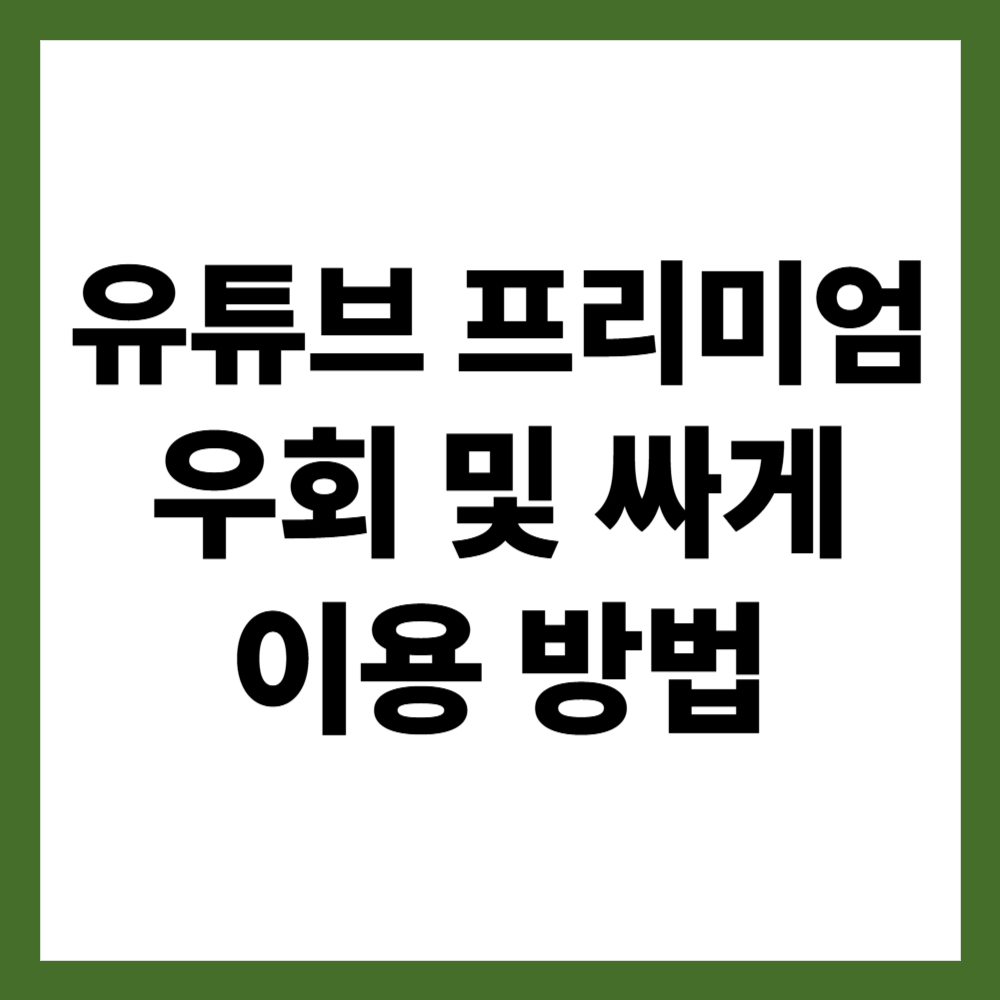 유튜브 프리미엄 우회 및 싸게 이용 방법
