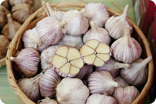 마늘-효능