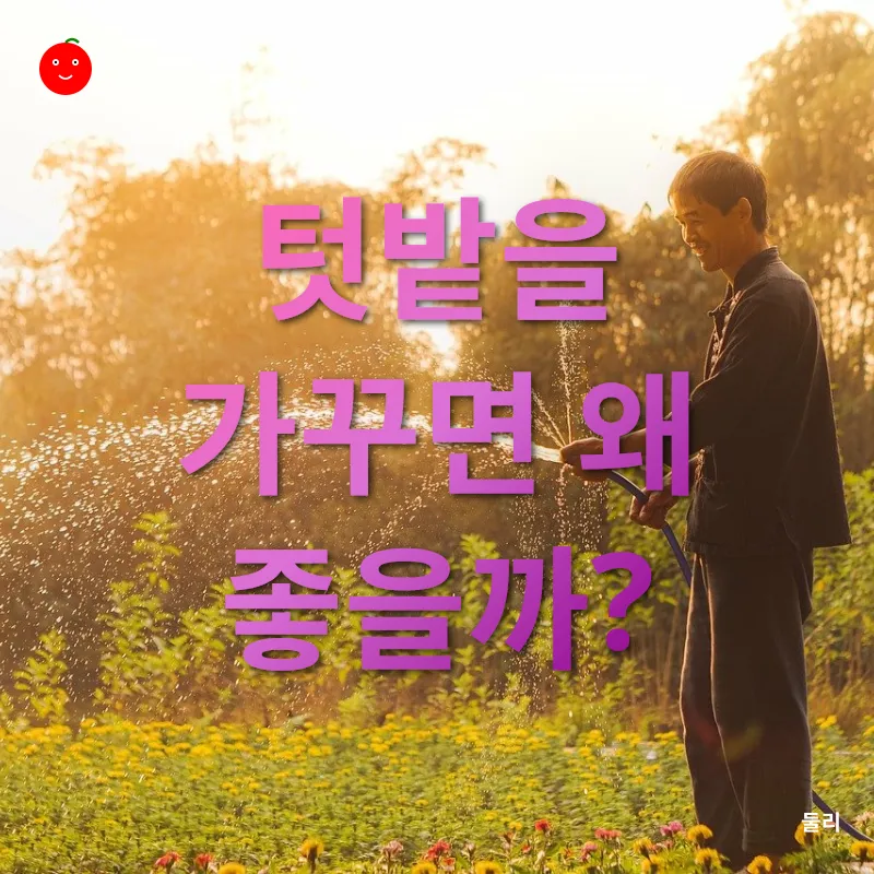 도시 텃밭 가꾸기_1