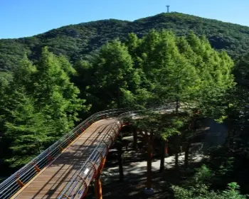 장태산 자연휴양림_2