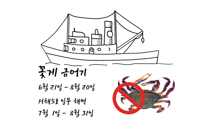꽃게 금어기