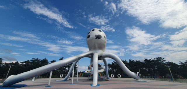 무안 정착 리얼 가이드— 공항·행정·전원생활이 모두 섞여 있는 독특한 도시의 현실 정착 보고서